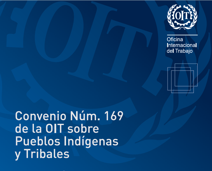 Convenio De La Oit Indignaci N