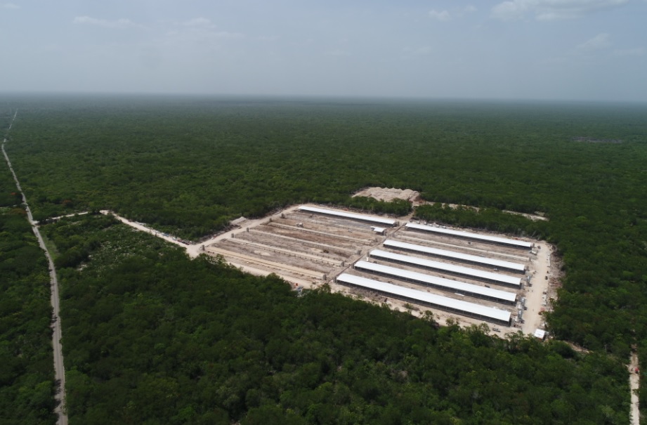 Clausuran 4 granjas porcícolas en Yucatán a partir de una denuncia regional presentada por 52 ciudadanos y ciudadanas de 21 comunidades mayas