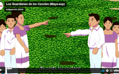 Los Guardianes de los Cenotes (video animación)