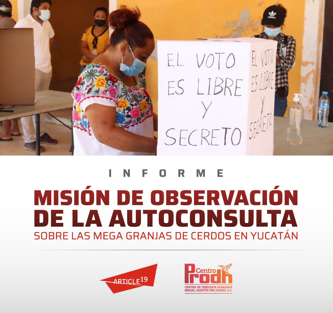 Informe Misión de observación de la autoconsulta sobre las mega granjas de cerdos en Yucatán