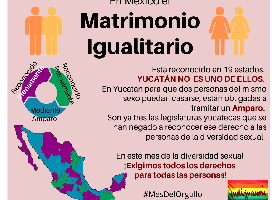 Matrimonio igualitario (infografía)